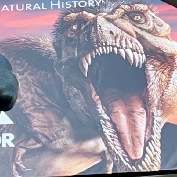 Meet your Posher, Bruce - Picture 1 of 1